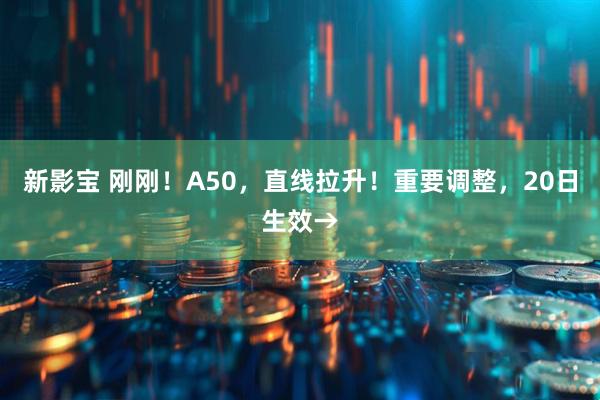 新影宝 刚刚！A50，直线拉升！重要调整，20日生效→