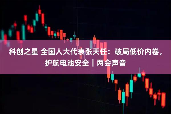 科创之星 全国人大代表张天任：破局低价内卷，护航电池安全｜两会声音
