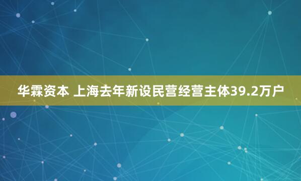 华霖资本 上海去年新设民营经营主体39.2万户