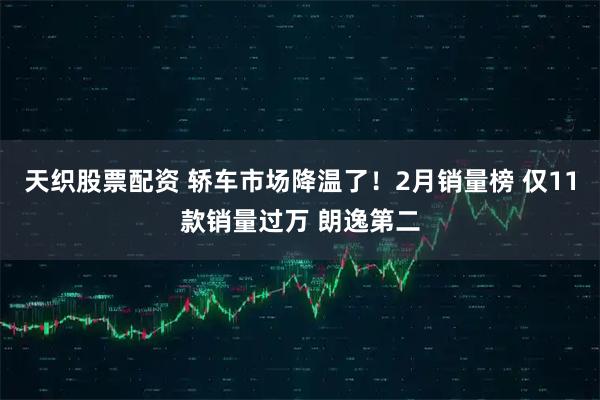 天织股票配资 轿车市场降温了！2月销量榜 仅11款销量过万 朗逸第二