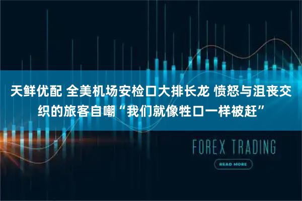 天鲜优配 全美机场安检口大排长龙 愤怒与沮丧交织的旅客自嘲“我们就像牲口一样被赶”