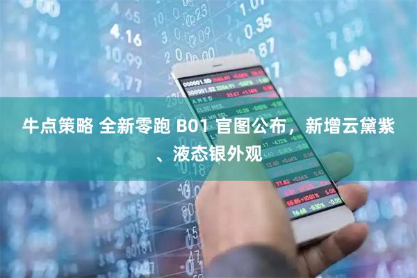 牛点策略 全新零跑 B01 官图公布,新增云黛紫、液态银外观