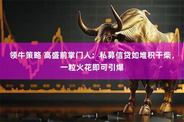 领牛策略 高盛前掌门人：私募信贷如堆积干柴，一粒火花即可引爆