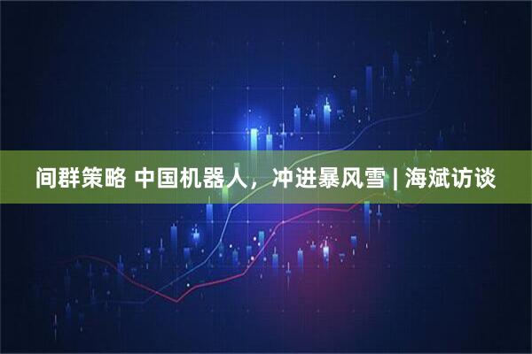 间群策略 中国机器人，冲进暴风雪 | 海斌访谈