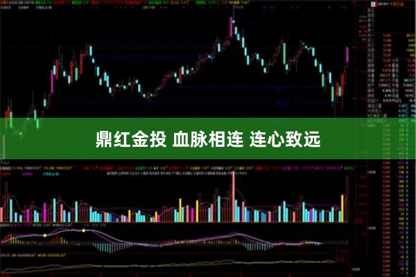 鼎红金投 血脉相连 连心致远