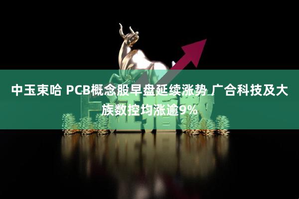 中玉束哈 PCB概念股早盘延续涨势 广合科技及大族数控均涨逾9%